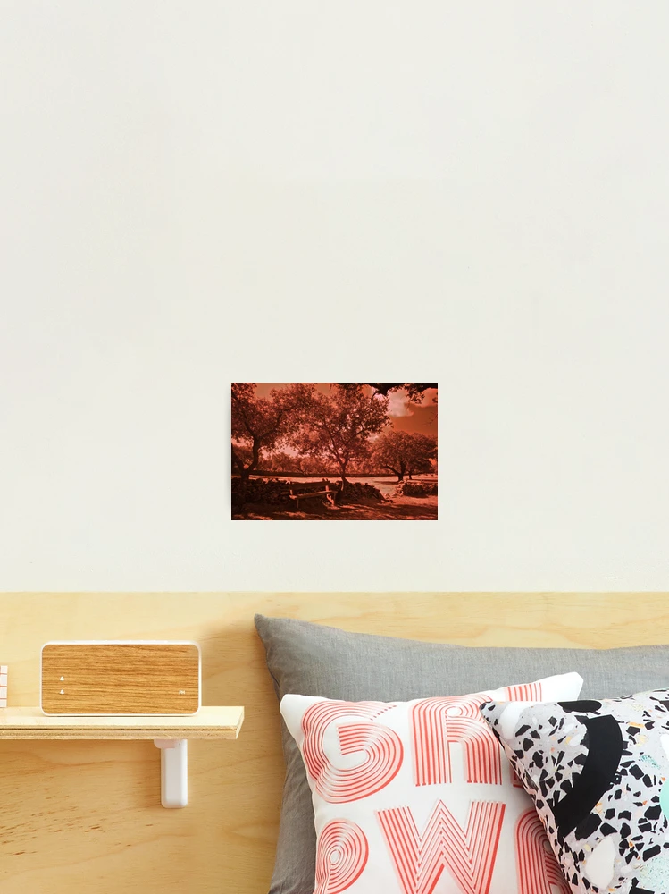 Thumbnail 2 of 3, Photographic Print, Countryside on I.R. designed and sold by Rafael López.