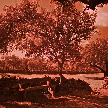 Artwork thumbnail, Countryside on I.R. by Rafael López