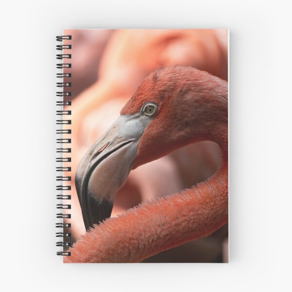 Item preview, Flaming Flamingo designed and sold by Czorio.