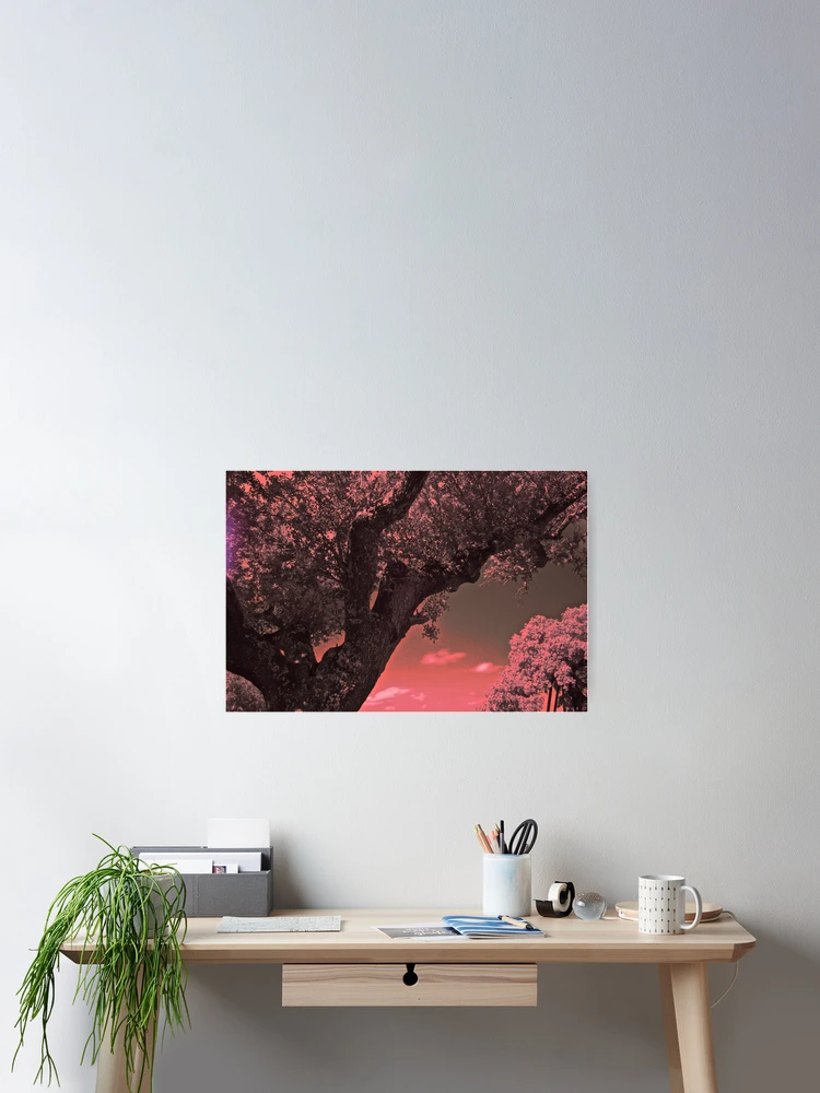Aperçu 2 sur 3. Poster avec l'œuvre Countryside on I.R. créée et vendue par Rafael López.