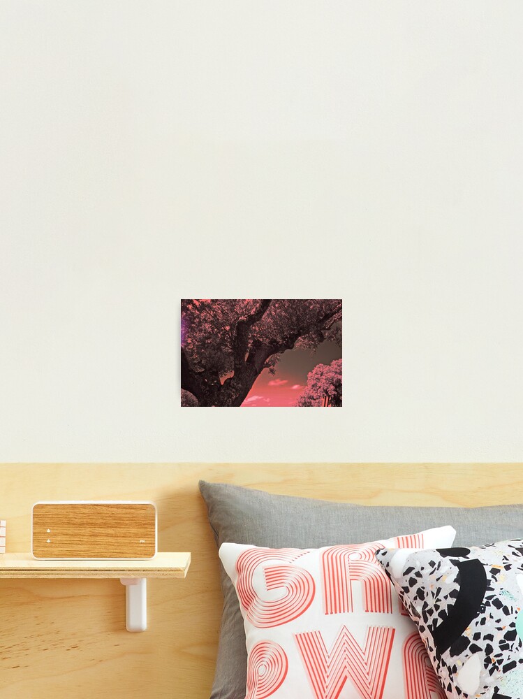Thumbnail 2 of 3, Photographic Print, Countryside on I.R. designed and sold by Raphanus.