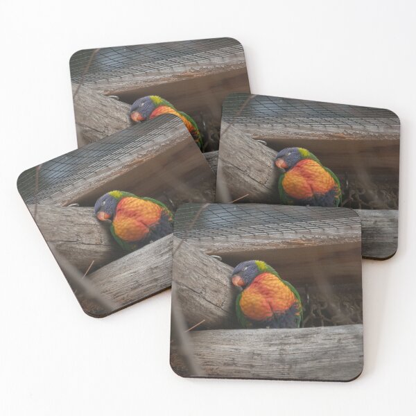 Item preview, Sleepy bird designed and sold by Czorio.
