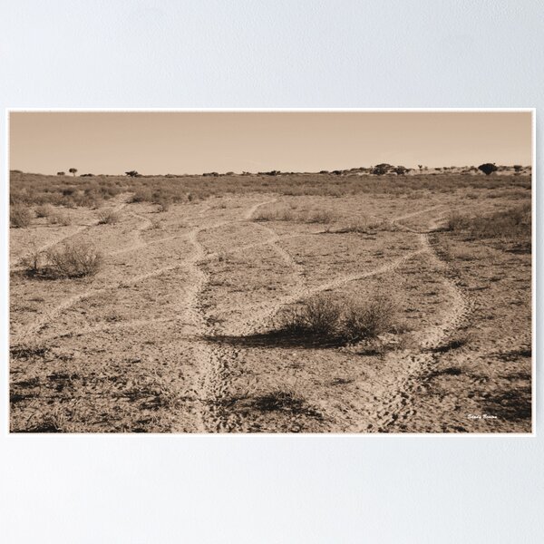 Item preview, PISTAS DEL DESIERTO - Botswana / Kalahari designed and sold by Sandy Beaton.