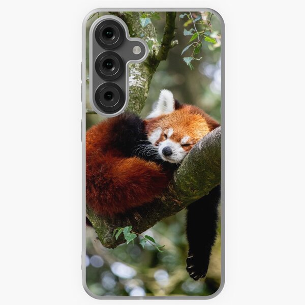 Vista previa del artículo con la obra «Panda rojo tomando una siesta», diseñado y vendido por Czorio.
