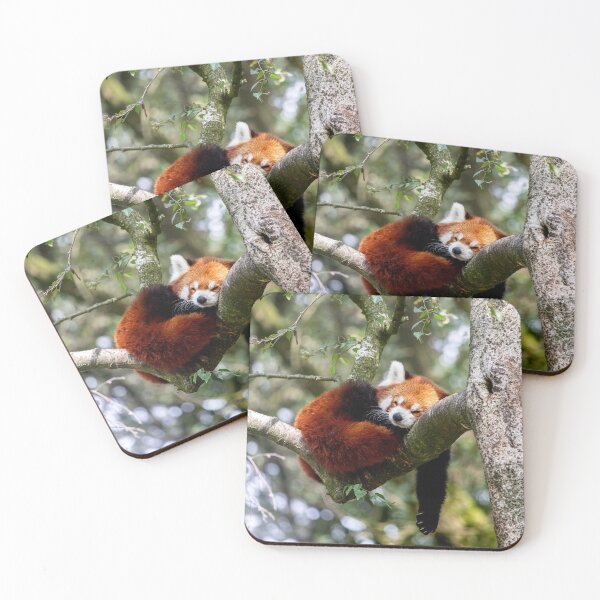 Item preview, Red Panda Taking a Nap designed and sold by Czorio.