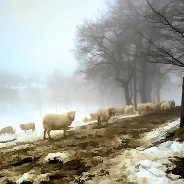 Artwork thumbnail, Welsh Flock#2 by RJDowns