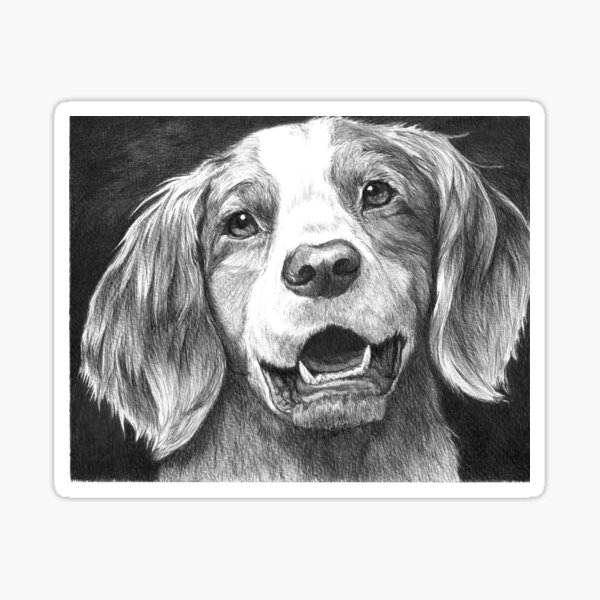 DIESEL/ brittany spaniel Sticker