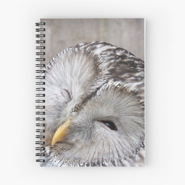 Item preview, The Owl Likes What it Sees designed and sold by Czorio.