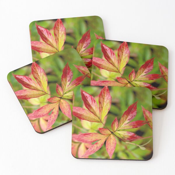 Item preview, autumn leaves changing color designed and sold by olena2552.