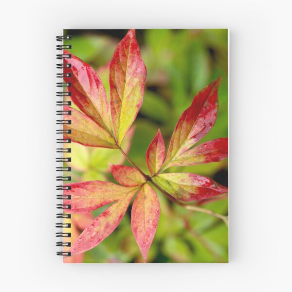 Item preview, autumn leaves changing color designed and sold by olena2552.