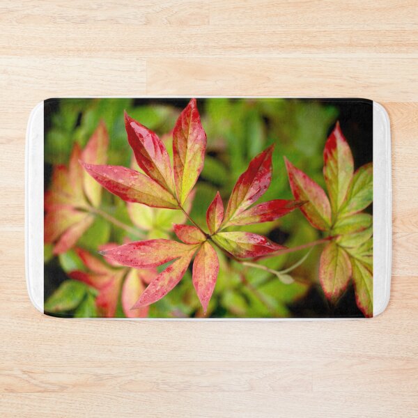 Item preview, autumn leaves changing color designed and sold by olena2552.