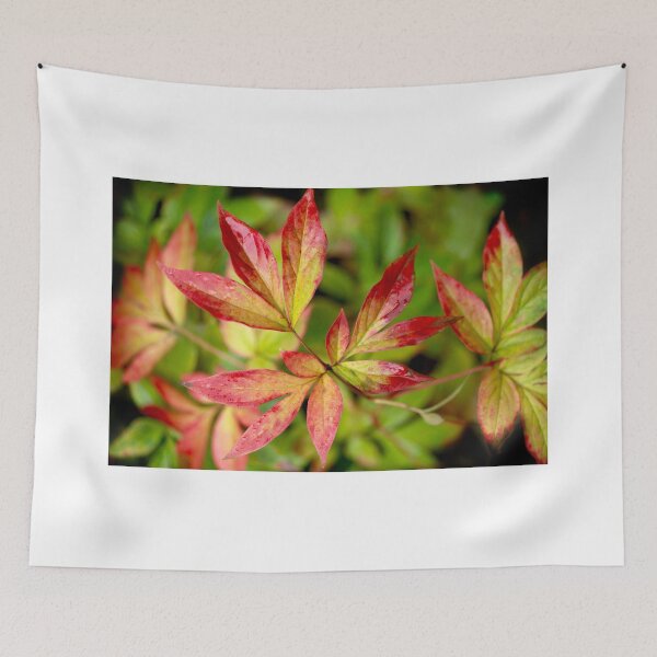 Item preview, autumn leaves changing color designed and sold by olena2552.