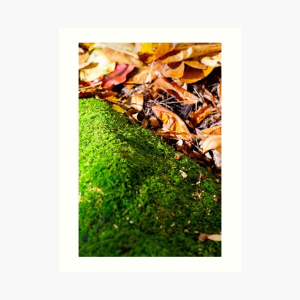 Mount moss I Art Print