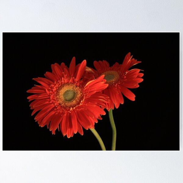 Item preview, Together Forever designed and sold by Susan van Zyl.