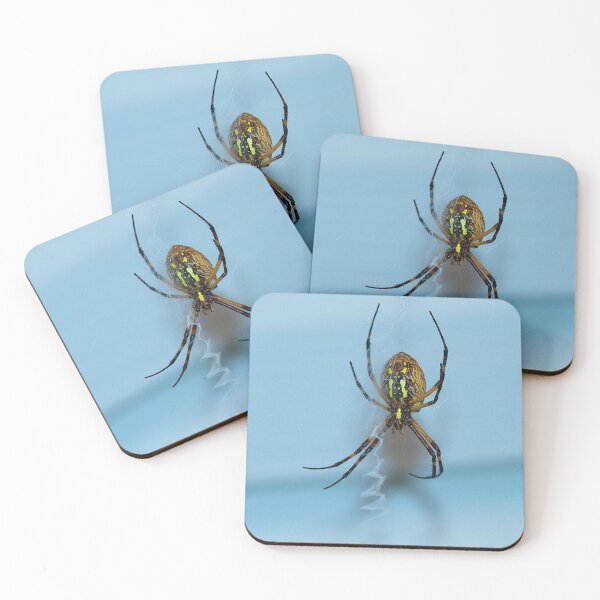 Item preview, Garden Spider designed and sold by Brenda Burnett.