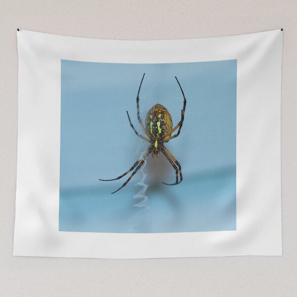Item preview, Garden Spider designed and sold by Brenda Burnett.