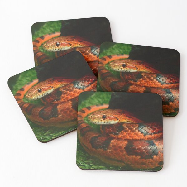 Item preview, Cornsnake.? snake designed and sold by Rachelidoless.