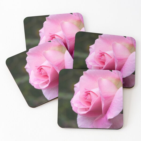Item preview, Pink rose  designed and sold by polyhymnia14.