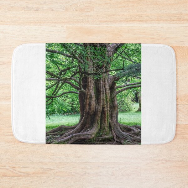 Item preview, 111815 how old am I designed and sold by pcfyi.