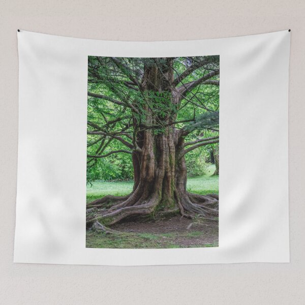 Item preview, 111815 how old am I designed and sold by pcfyi.