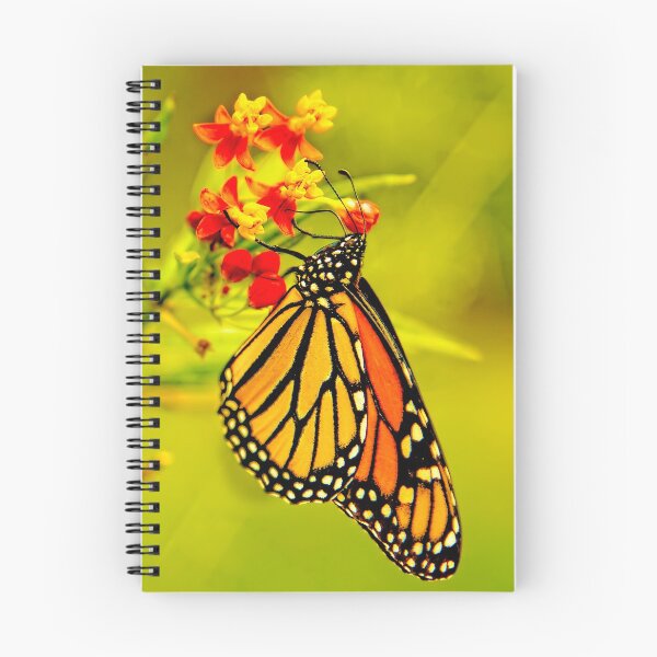 Item preview, The Monarch Butterfly designed and sold by Kay Brewer.