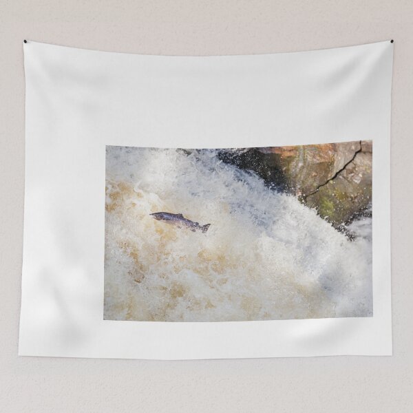 Item preview, Copy of leaping fish salmon designed and sold by chanonry.