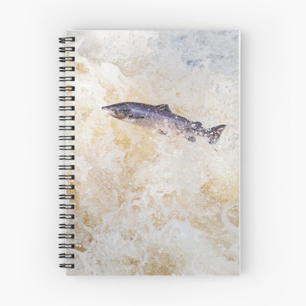 Item preview, Copy of leaping fish salmon designed and sold by chanonry.