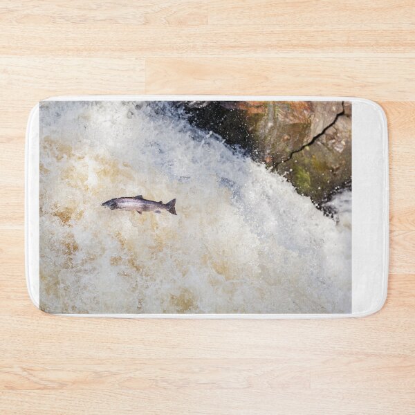 Item preview, Copy of Copy of leaping fish salmon designed and sold by chanonry.