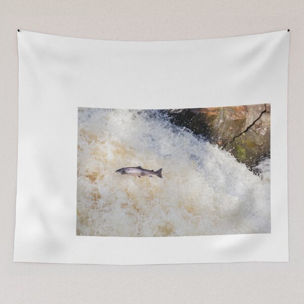 Item preview, Copy of Copy of leaping fish salmon designed and sold by chanonry.