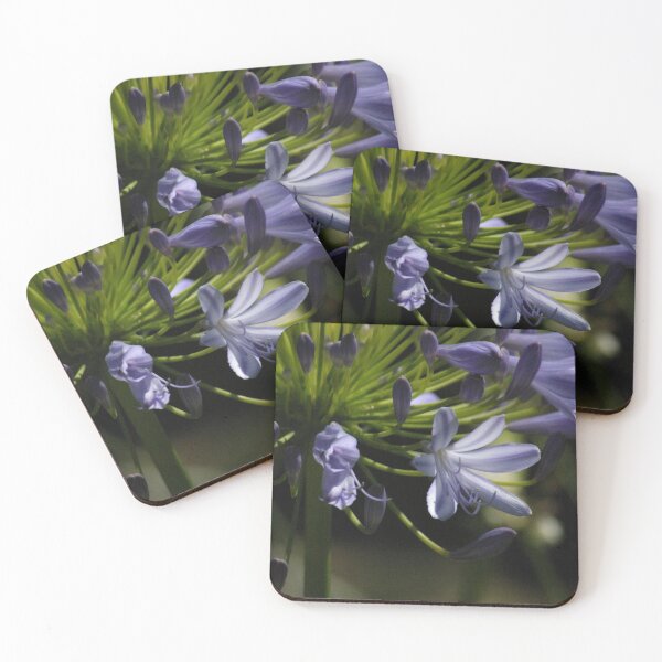 Item preview, Agapanthus designed and sold by Bernadette Maurer.