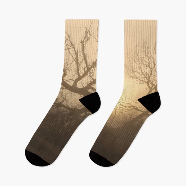 Item preview, Trees in the Mist  designed and sold by photoclique.