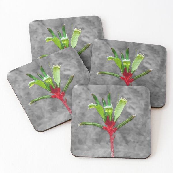 Item preview, Western Australia Floral Emblem - Kangaroo Paw designed and sold by DPalmer.