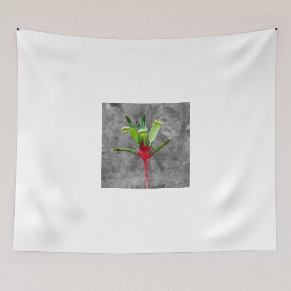 Item preview, Western Australia Floral Emblem - Kangaroo Paw designed and sold by DPalmer.