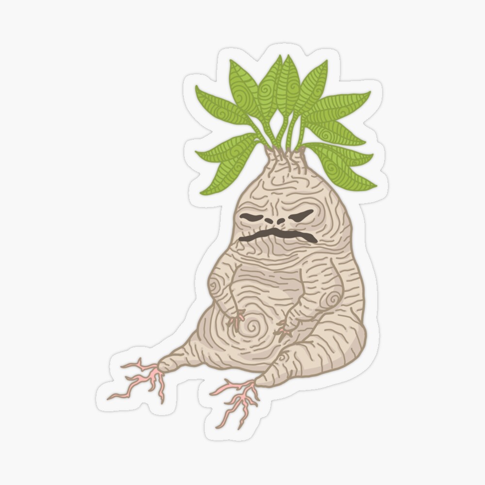 A little drawing of a mandrake I did! My friends and I have been really  into Harry Potter a…