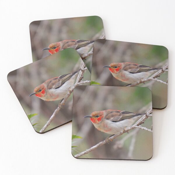 Item preview, SC ~ WO ~ HONEYEATER ~ Scarlet Honeyeater 3PP6dH4w by David Irwin 261019 designed and sold by tasmanianartist.