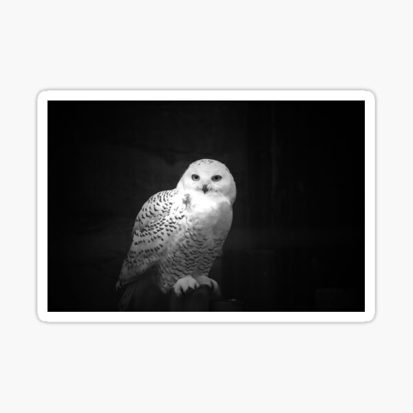 Item preview, Snowy Owl designed and sold by LeanneAllen.