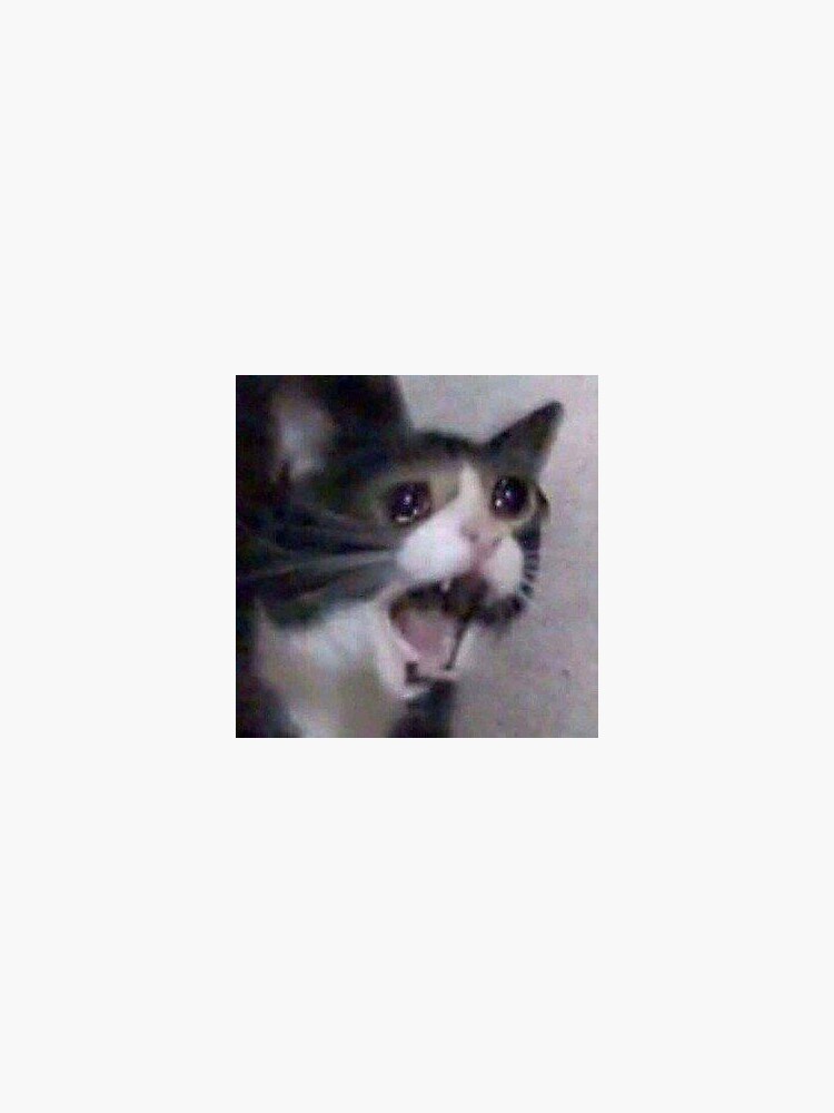 "Sad Cat Meme" Sticker by 45seals | Redbubble
