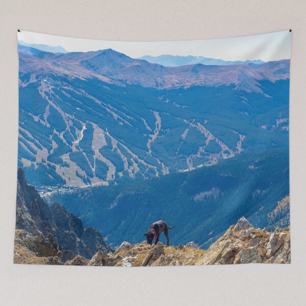 Item preview, Dog Gone Climbing 2 // High above Copper Mountain Ski Resort in Colorado Landscape Photograph designed and sold by catbyrdcolorado.
