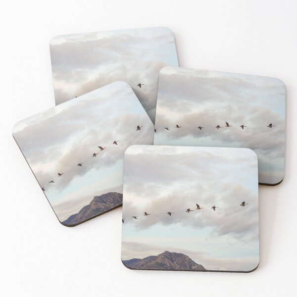 Item preview, Migration of the Birds // Mountain and Sky Meets Nature Landscape Photography of Wildlife designed and sold by catbyrdcolorado.