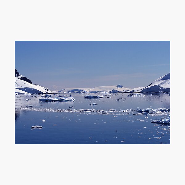 Item preview, Icebergs in Antarctica designed and sold by rhallam.