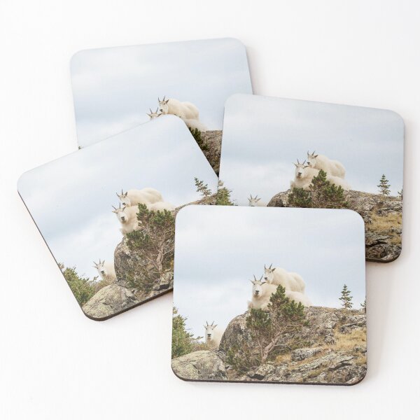 Item preview, Three Ami-Goats // Scenic Hike Animals Photograph Colorado Wildlife National Park Mountain Goats designed and sold by catbyrdcolorado.