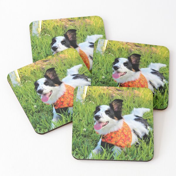 Item preview, Skipper Sporting Pumpkin Bandana designed and sold by banditandkoko.