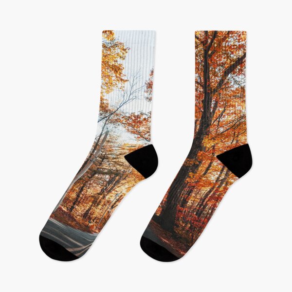 Item preview, autumnal road in new england designed and sold by franckreporter.