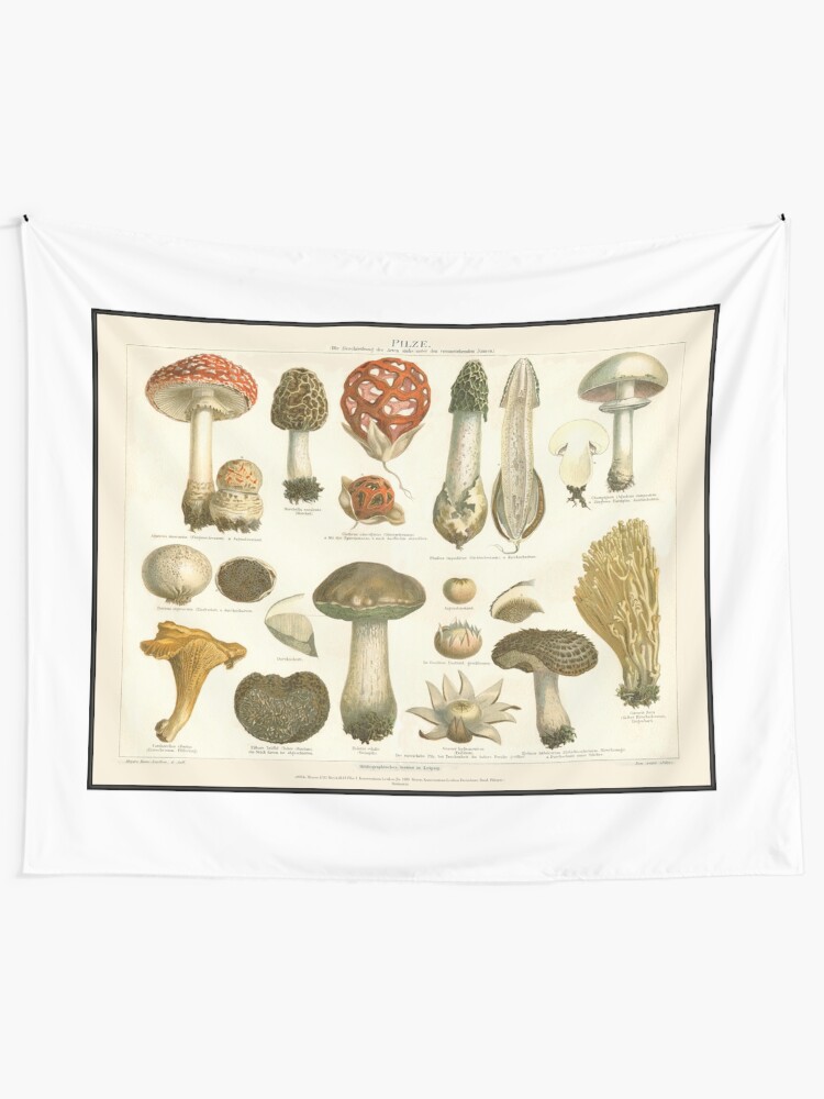 "Vintage Mushroom" Tapestry by arisabi Redbubble