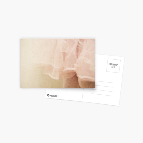 Pink Cinnamon Postcard