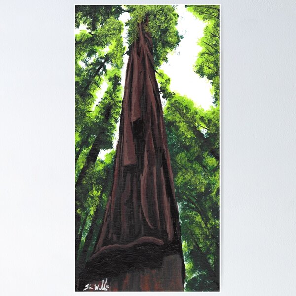 Item preview, Redwood Tree designed and sold by SleepingDeadGir.