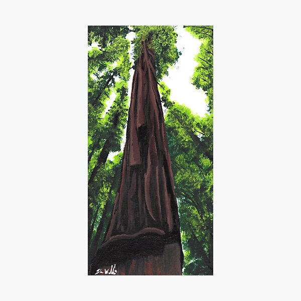 Item preview, Redwood Tree designed and sold by SleepingDeadGir.