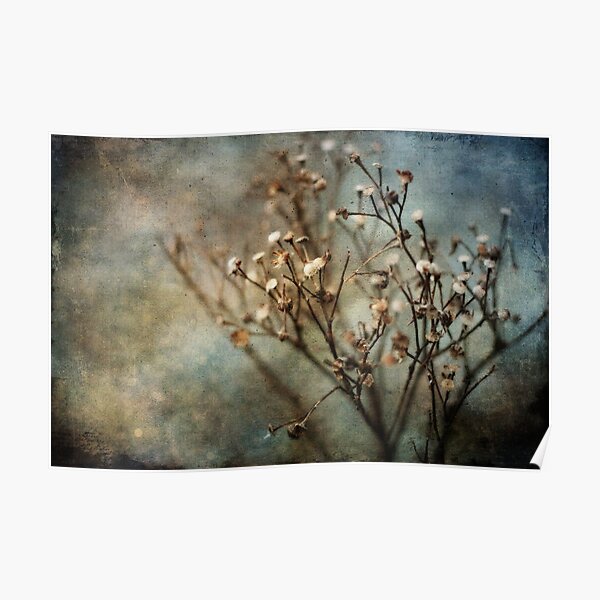 dead flowers Poster