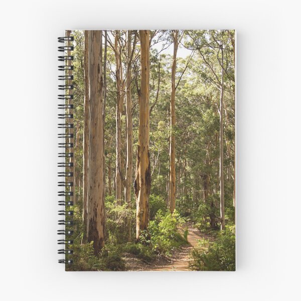 Item preview, Boranup Forest, Western Australia designed and sold by Life Images by Jill .