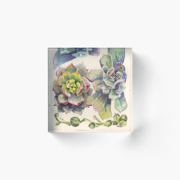 Summer Succulents Acrylic Block